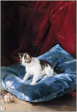 Marques, Francisco Domingo Cat oil painting picture